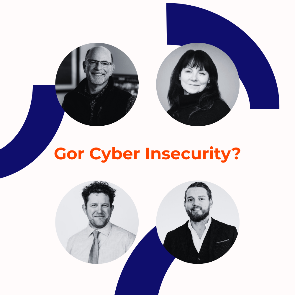 Got Cyber Insecurity?